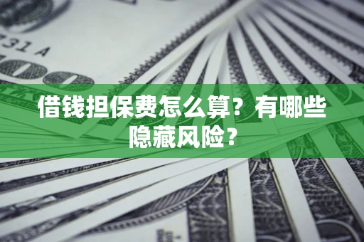 武汉借钱担保费怎么算？有哪些隐藏风险？