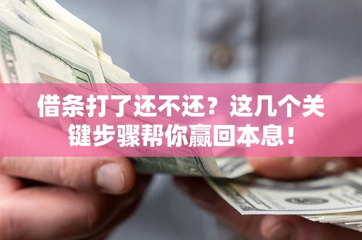 武汉借条打了还不还？这几个关键步骤帮你赢回本息！