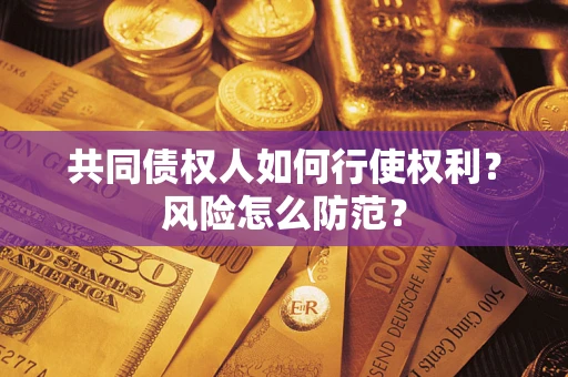 武汉共同债权人如何行使权利？风险怎么防范？