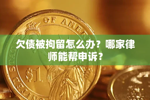 武汉欠债被拘留怎么办？哪家律师能帮申诉？