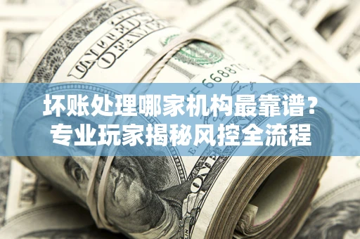 武汉坏账处理哪家机构最靠谱？专业玩家揭秘风控全流程