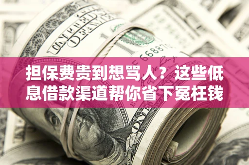 武汉担保费贵到想骂人？这些低息借款渠道帮你省下冤枉钱