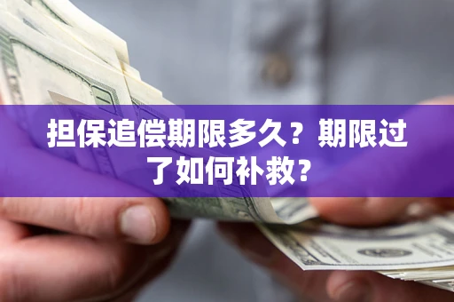 武汉担保追偿期限多久？期限过了如何补救？