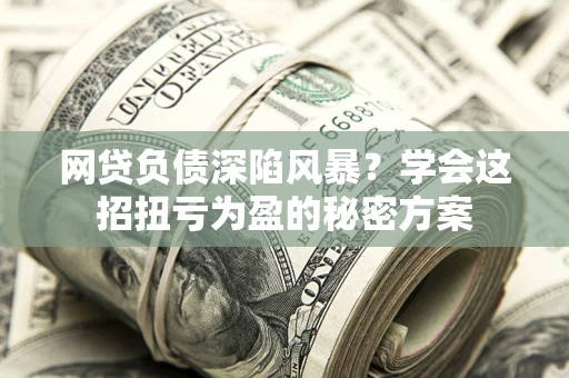 武汉网贷负债深陷风暴？学会这招扭亏为盈的秘密方案